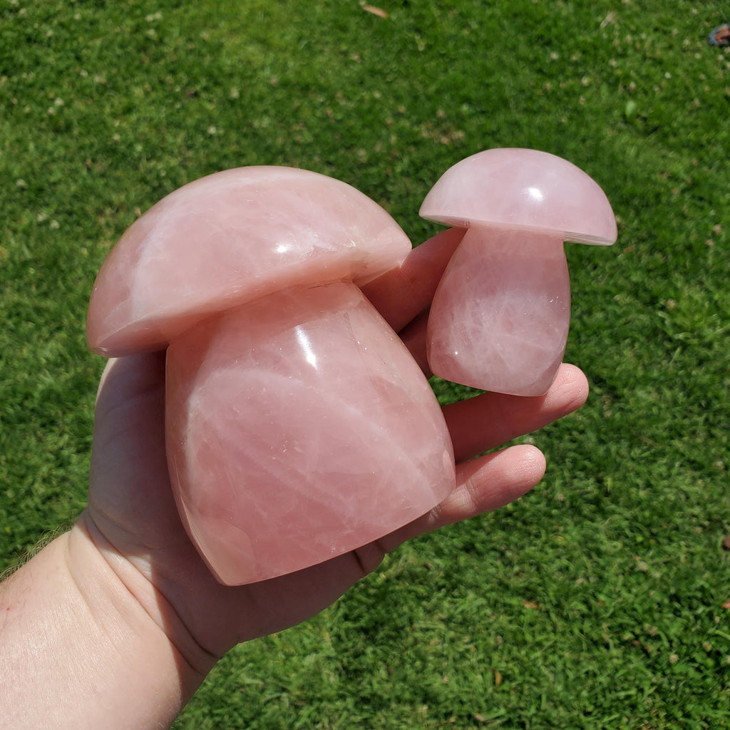 Chunky Rose Quartz Mushroom - Unconditional Love, Forgiveness, Compassion - Pink Crystal Mushroom Stone Healing Crystals Gemstones