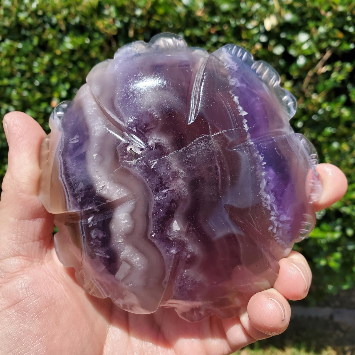 Big Purple Fluorite Flower with Banding - The Dream Crystal, Mental Concentration, Clears Negativity - Crystal Rose Statement Gemstone