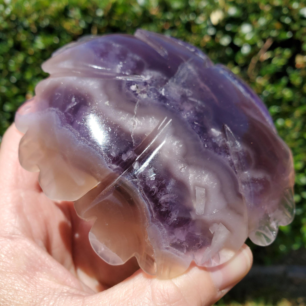 Big Purple Fluorite Flower with Banding - The Dream Crystal, Mental Concentration, Clears Negativity - Crystal Rose Statement Gemstone
