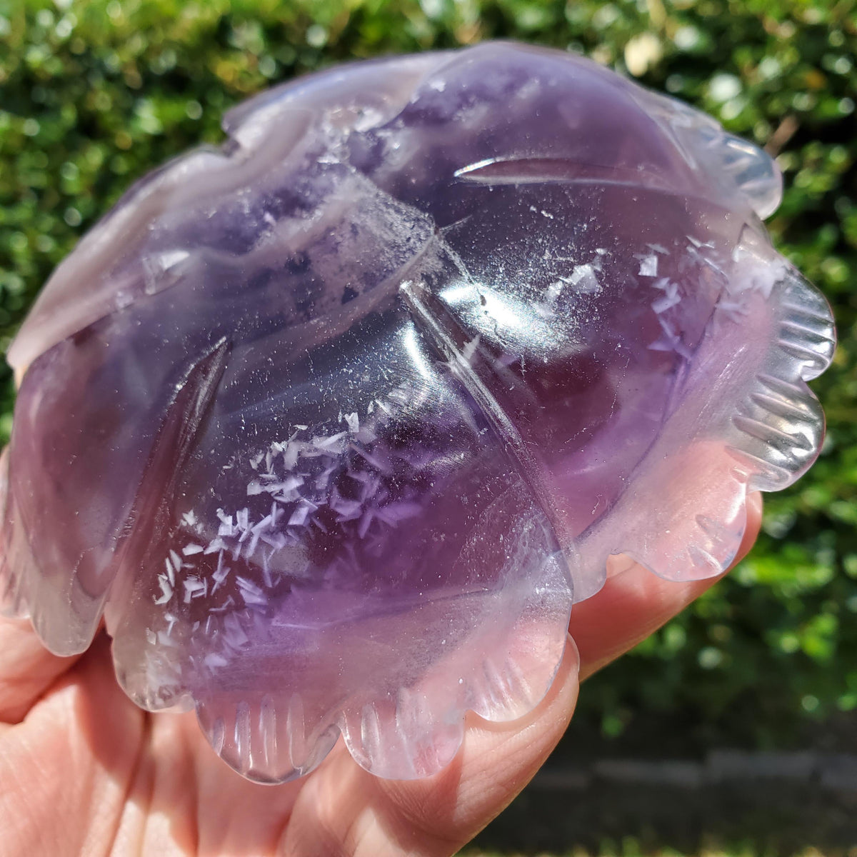 Big Purple Fluorite Flower with Banding - The Dream Crystal, Mental Concentration, Clears Negativity - Crystal Rose Statement Gemstone