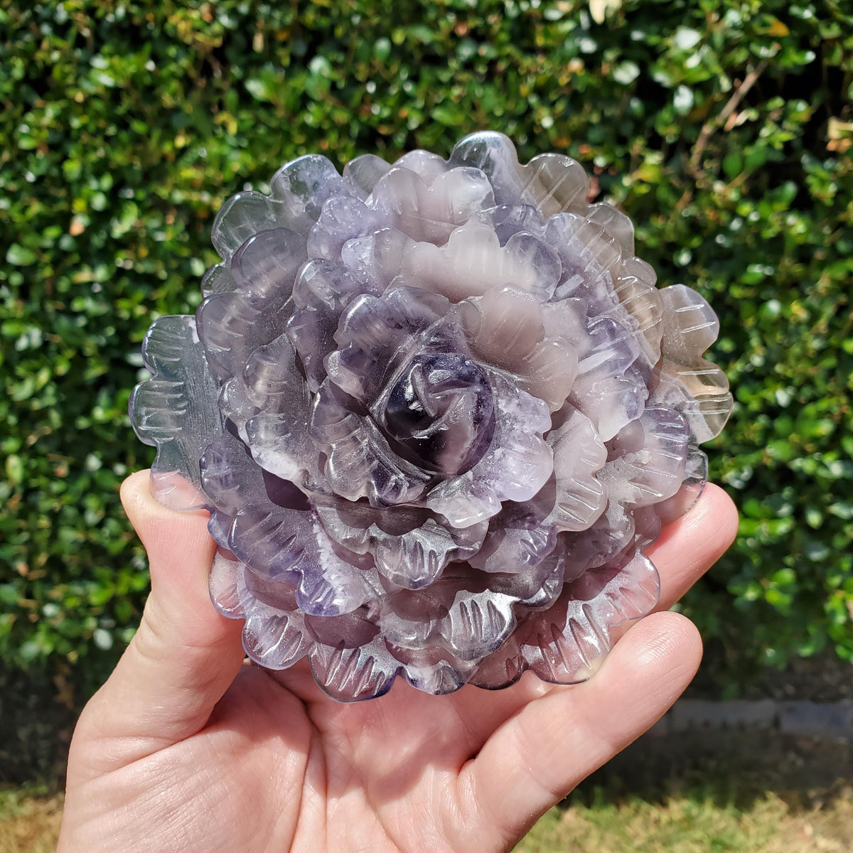 Big Purple Fluorite Flower with Banding - The Dream Crystal, Mental Concentration, Clears Negativity - Crystal Rose Statement Gemstone