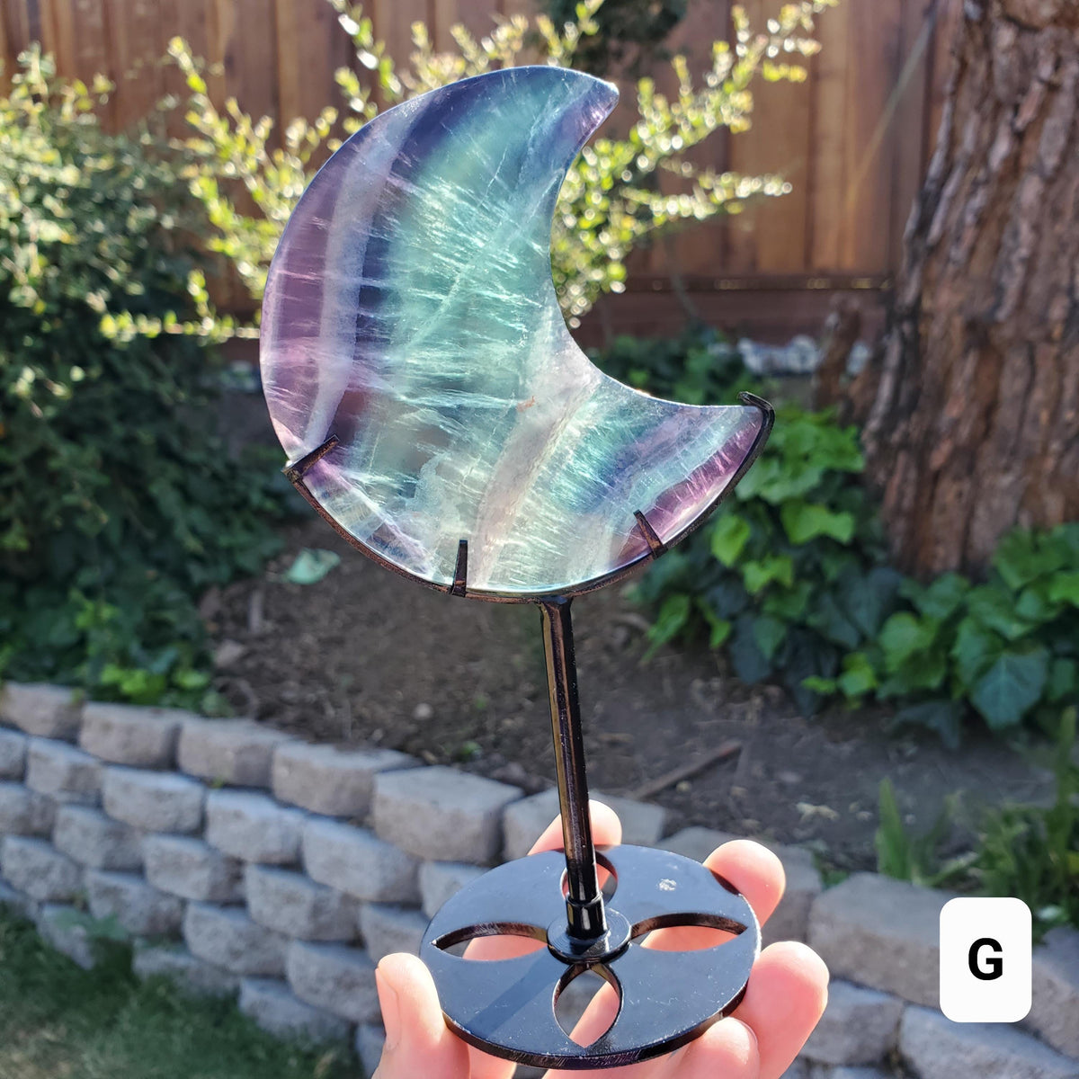 Rainbow Fluorite Moon on Stand - Mental Concentration, Energetic Protection, Positivity - Fluorite Crystal Moon Healing Gemstone