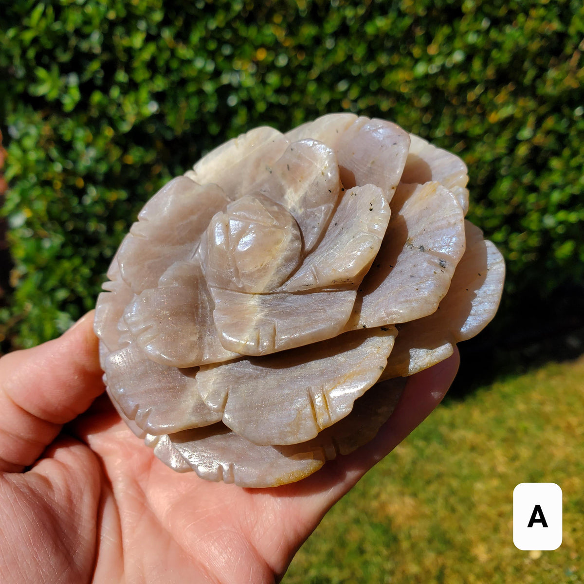 Chunky & Flashy Moonstone Flower - Uplifting, Feminine Energy, Empowering - Crystal Healing Rose Carving Statement Gemstone