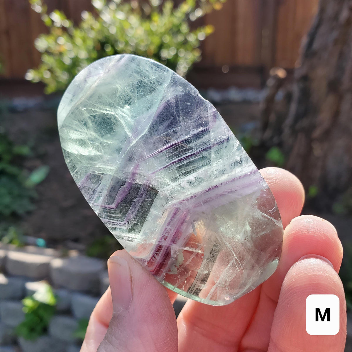 Rainbow Fluorite Palm Stone - Stability, Concentration, Protection - Banded Fluorite Healing Balancing Crystals Gemstones