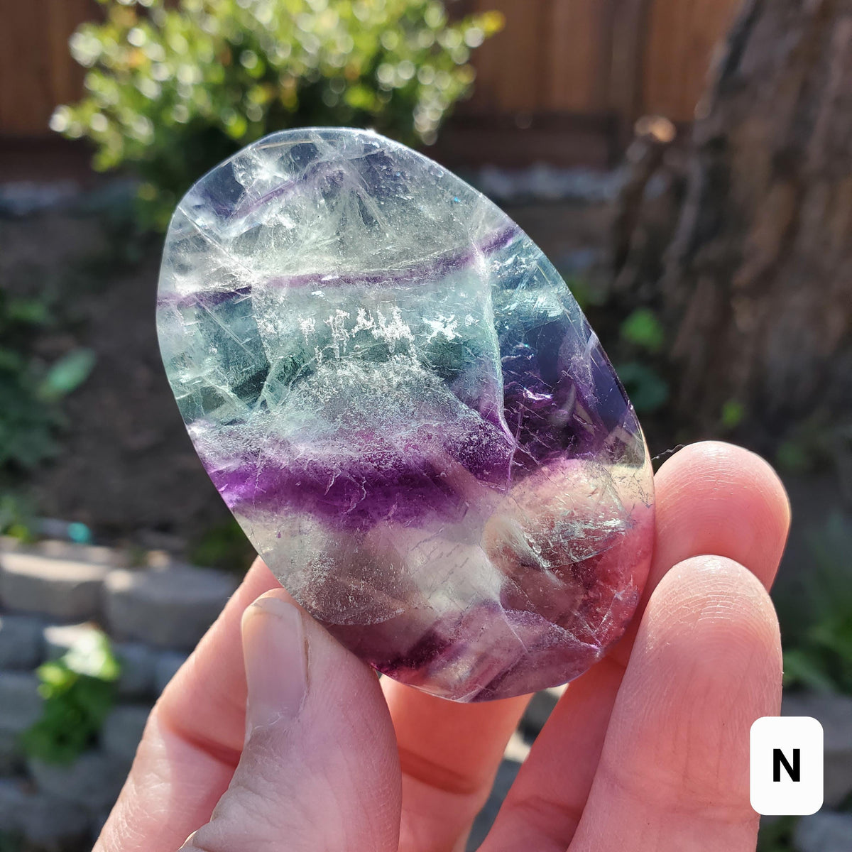 Rainbow Fluorite Palm Stone - Stability, Concentration, Protection - Banded Fluorite Healing Balancing Crystals Gemstones