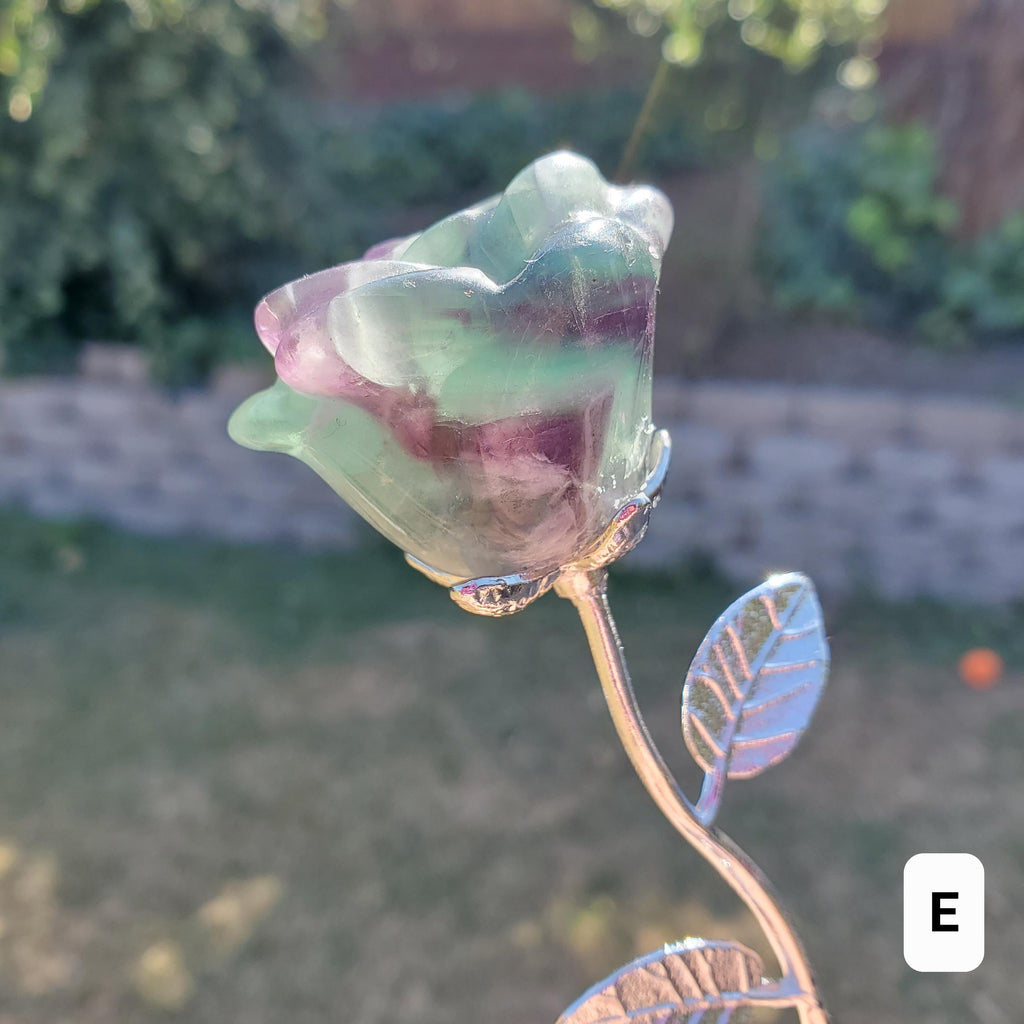 Rainbow Fluorite Rose on Stem - Mental Clarity, Positivity, Energetic Protection - 6" Long Open Bloom Crystal Rose Decor