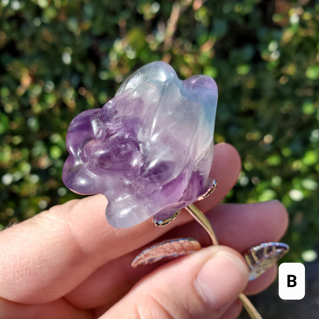 Rainbow Fluorite Rose on Stem - Mental Clarity, Positivity, Energetic Protection - 6" Long Open Bloom Crystal Rose Decor
