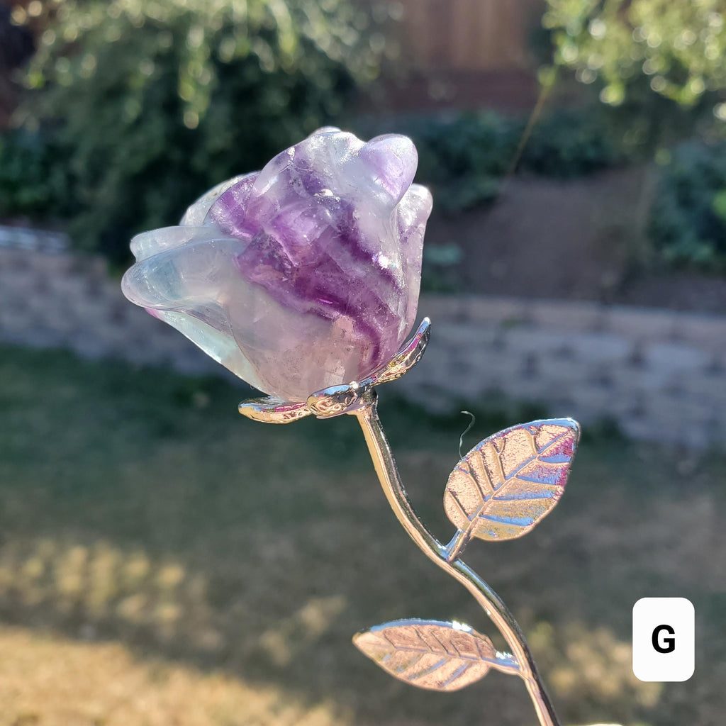 Rainbow Fluorite Rose on Stem - Mental Clarity, Positivity, Energetic Protection - 6" Long Open Bloom Crystal Rose Decor