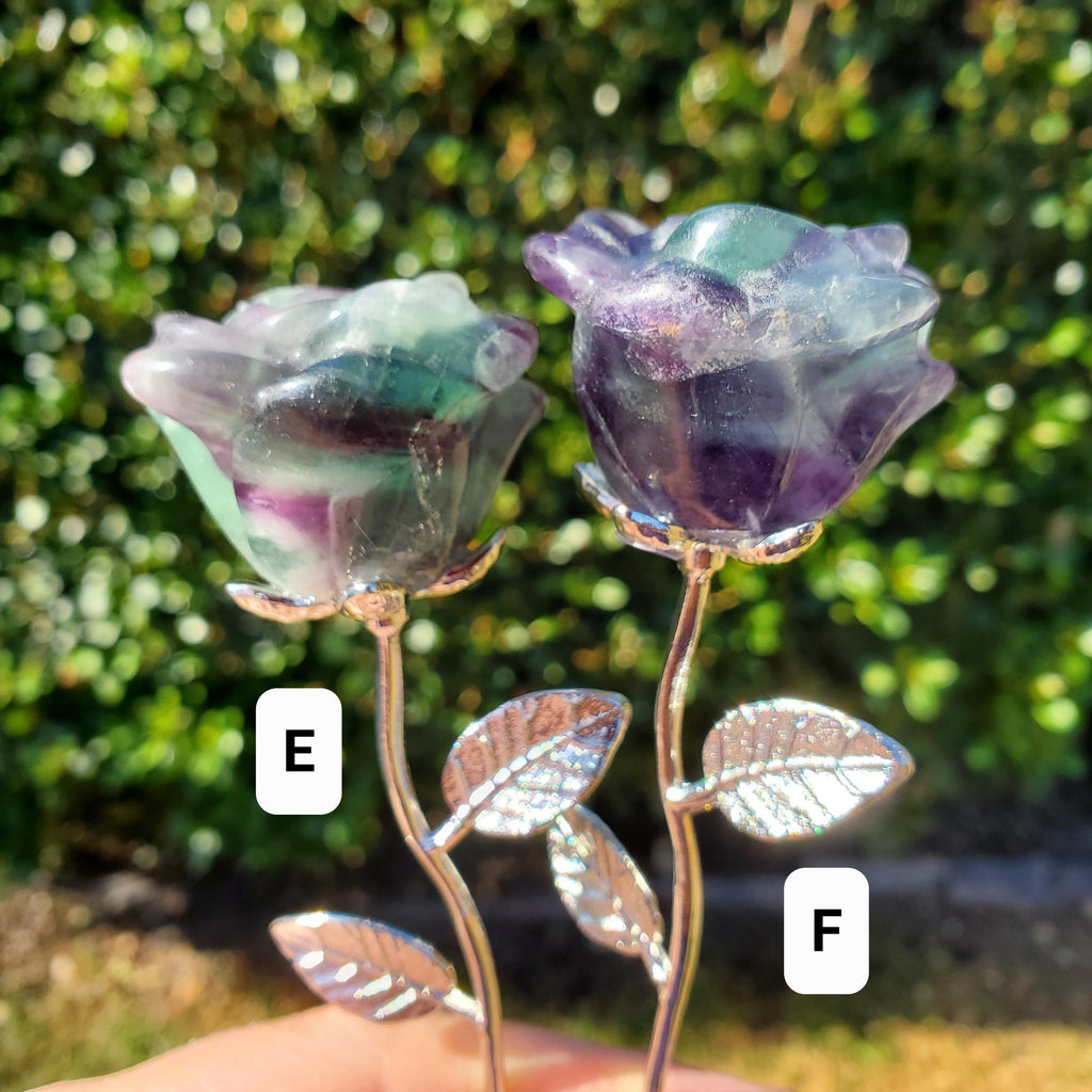 Rainbow Fluorite Rose on Stem - Mental Clarity, Positivity, Energetic Protection - 6" Long Open Bloom Crystal Rose Decor