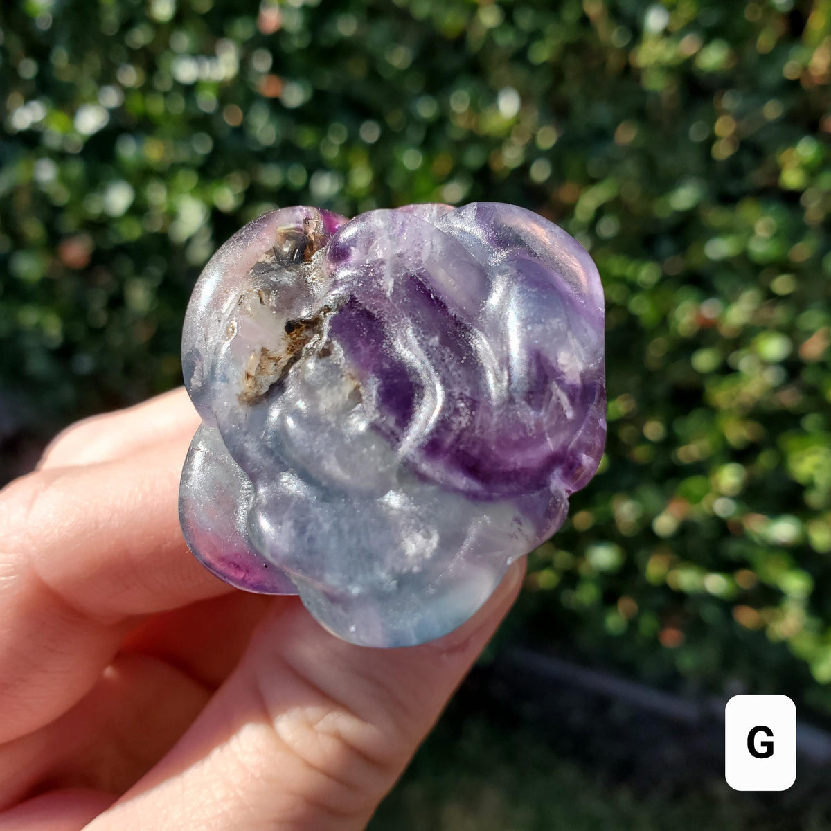Rainbow Fluorite Rose on Stem - Mental Clarity, Positivity, Energetic Protection - 6" Long Open Bloom Crystal Rose Decor