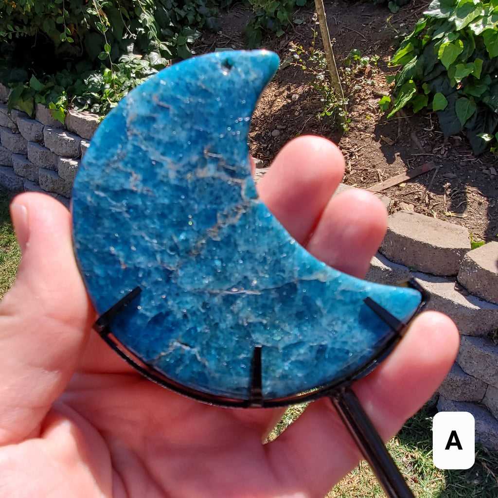 Blue Apatite Moon on Stand - Intuition, Mental Clarity, Manifestation - Blue Vein Crystal Crescent Stone Crystal Statement