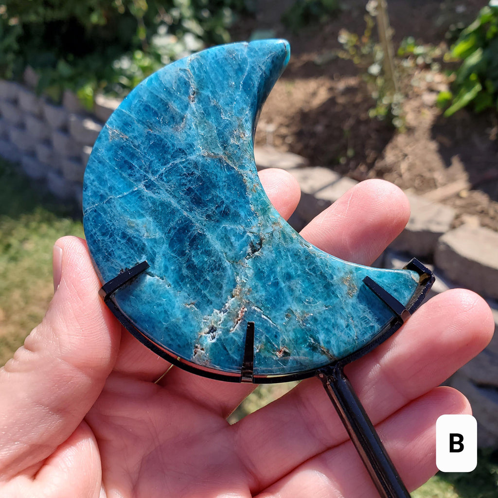 Blue Apatite Moon on Stand - Intuition, Mental Clarity, Manifestation - Blue Vein Crystal Crescent Stone Crystal Statement