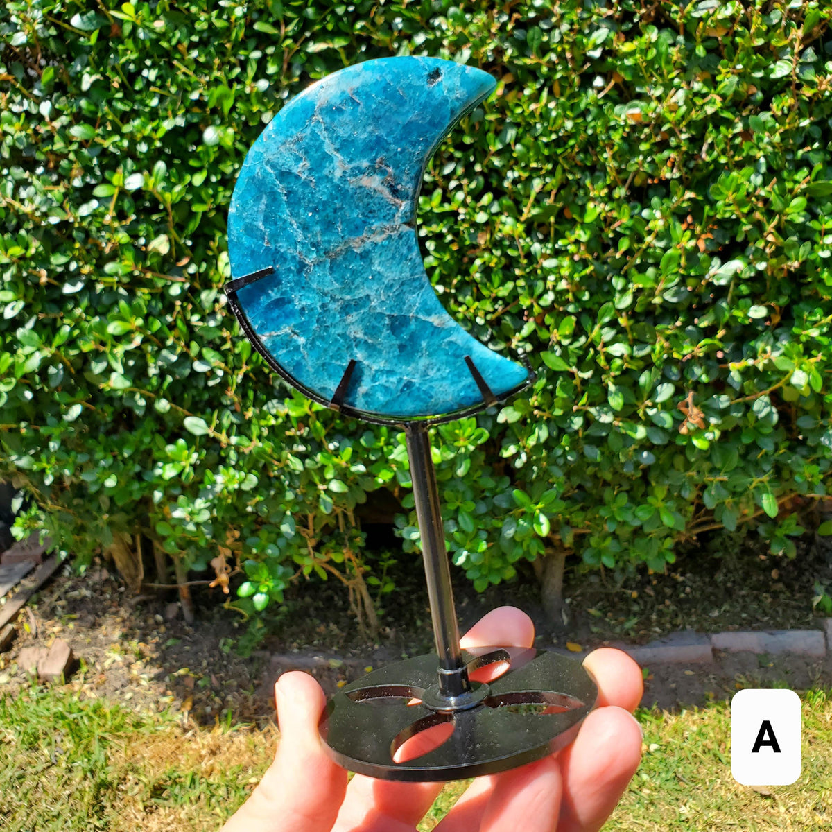 Blue Apatite Moon on Stand - Intuition, Mental Clarity, Manifestation - Blue Vein Crystal Crescent Stone Crystal Statement