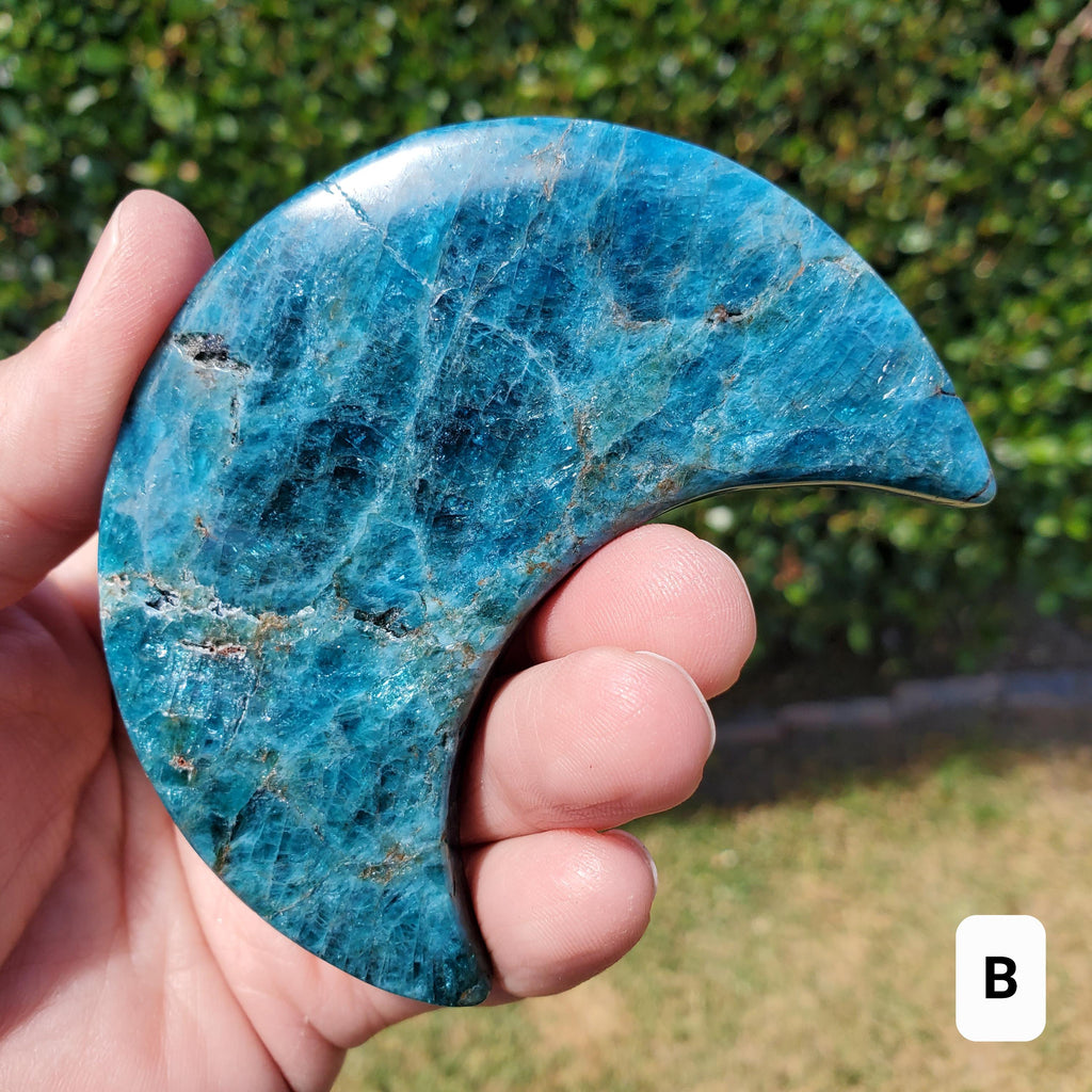 Blue Apatite Moon on Stand - Intuition, Mental Clarity, Manifestation - Blue Vein Crystal Crescent Stone Crystal Statement