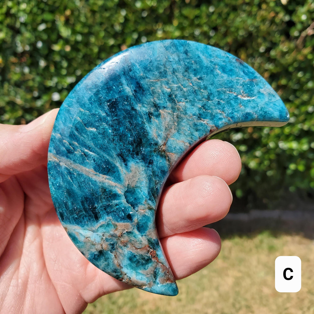 Blue Apatite Moon on Stand - Intuition, Mental Clarity, Manifestation - Blue Vein Crystal Crescent Stone Crystal Statement