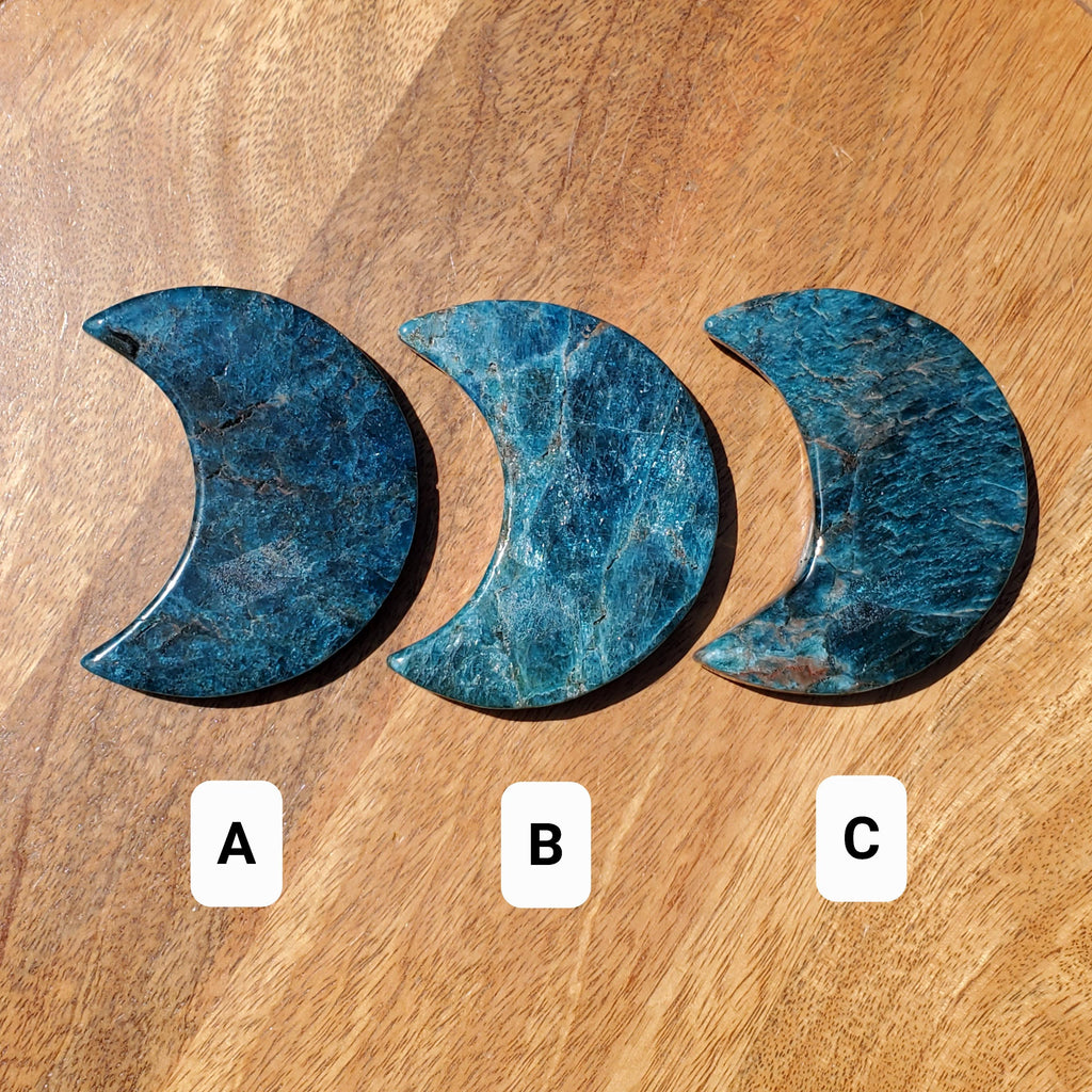 Blue Apatite Moon on Stand - Intuition, Mental Clarity, Manifestation - Blue Vein Crystal Crescent Stone Crystal Statement