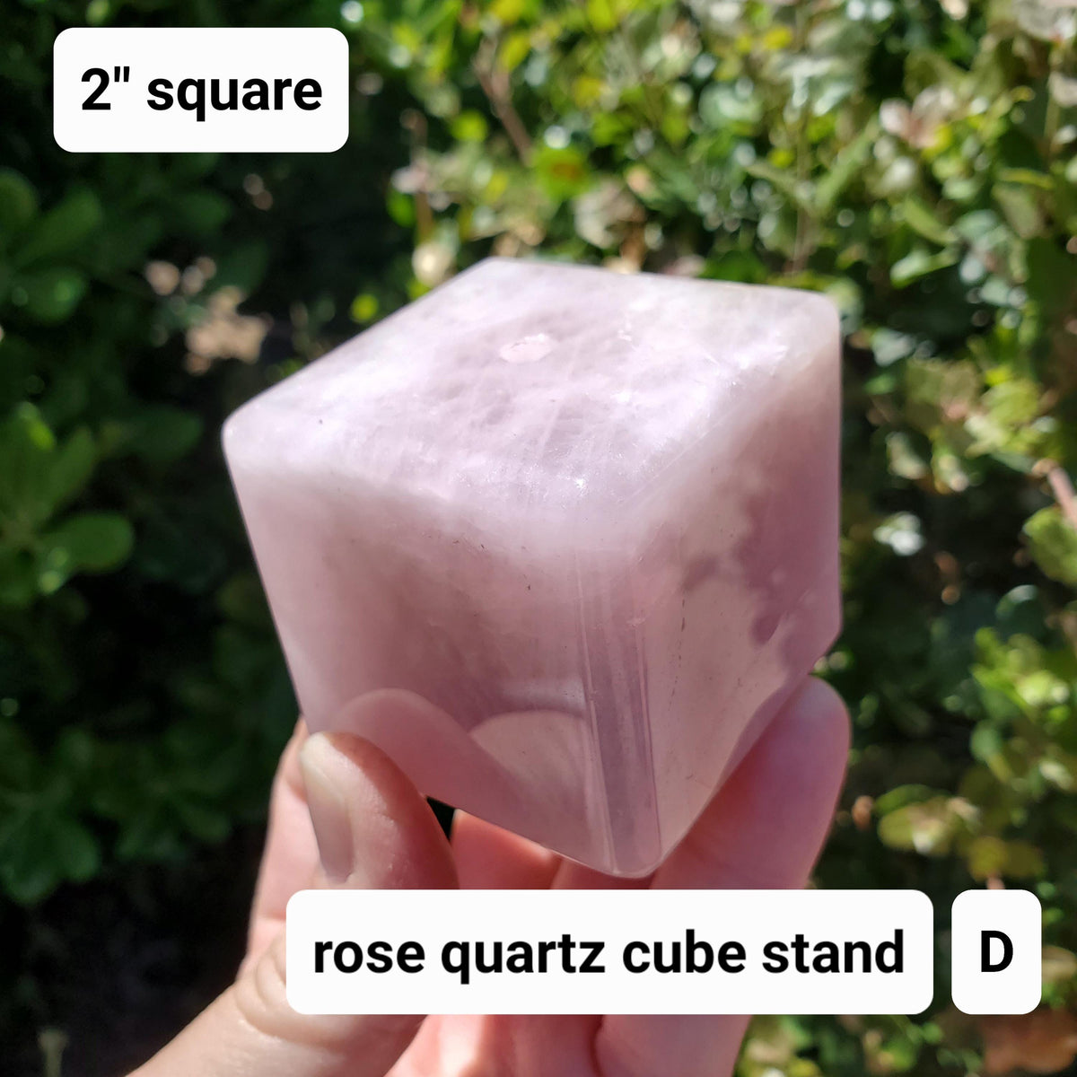 Rose Quartz Long Stem Rose 6" to 9" - Unconditional Love, Compassion, Self Love - Pink Crystal Rose Bud with Silver or Gold Metal Stem