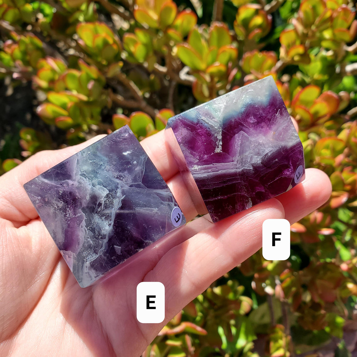 Rainbow Fluorite Cube - Mental Clarity, Stability, Concentration, Protection - 1.50" Standing Fluorite Geometric Crystal Gemstone