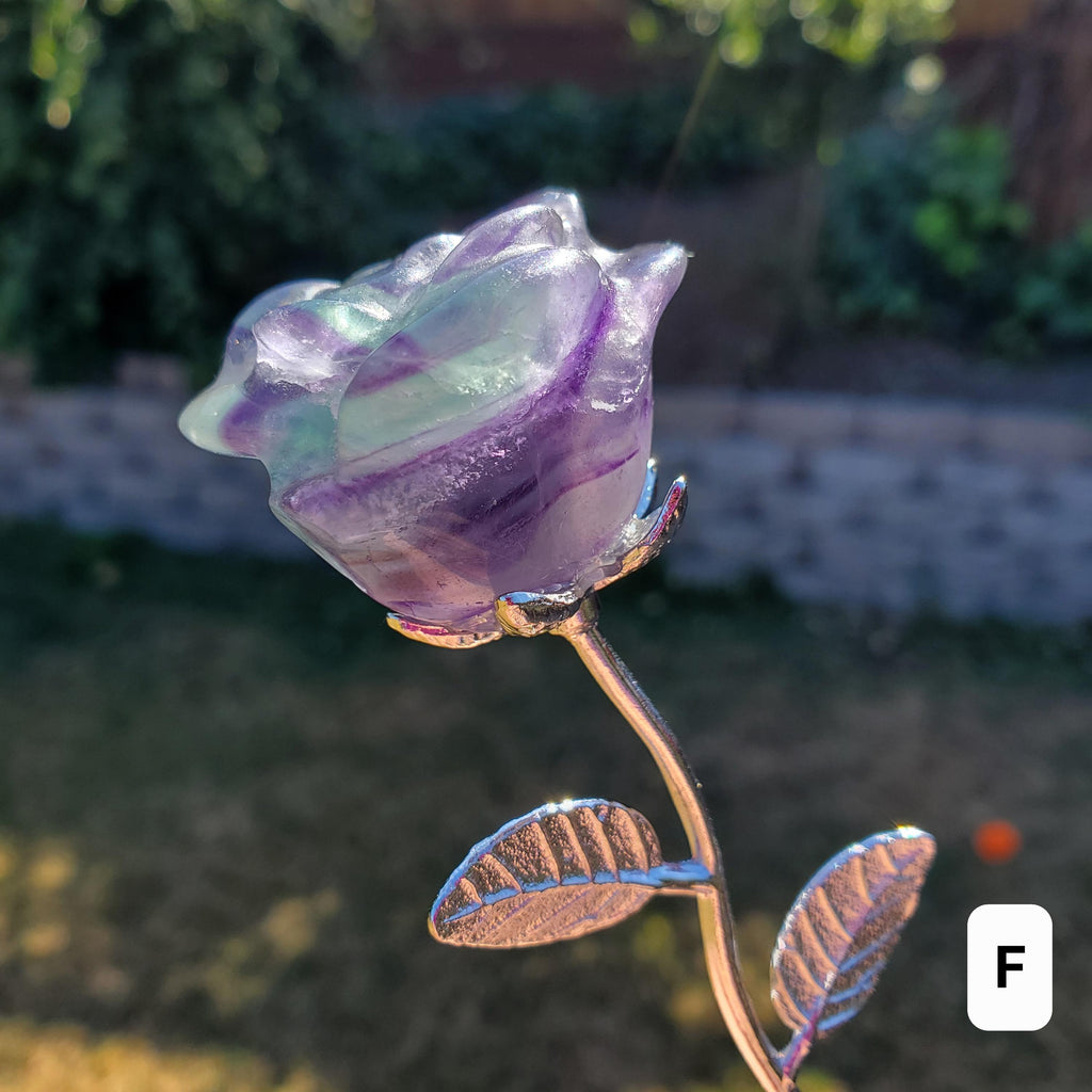 Rainbow Fluorite Rose on Stem - Mental Clarity, Positivity, Energetic Protection - 6" Long Open Bloom Crystal Rose Decor