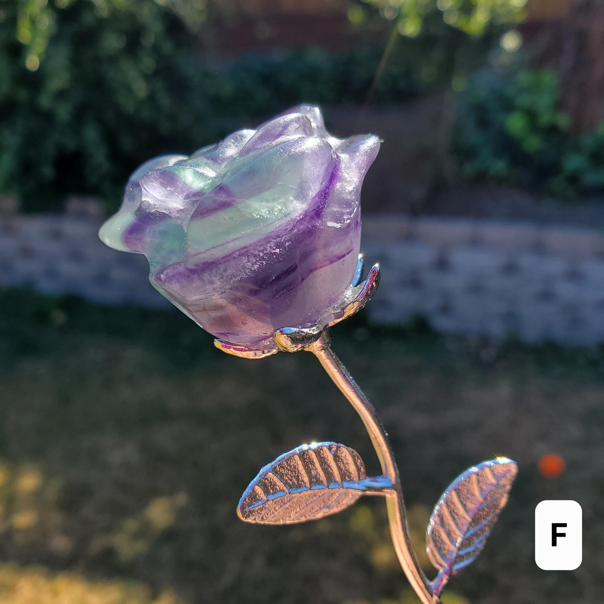 Rainbow Fluorite Rose on Stem - Mental Clarity, Positivity, Energetic Protection - 6" Long Open Bloom Crystal Rose Decor