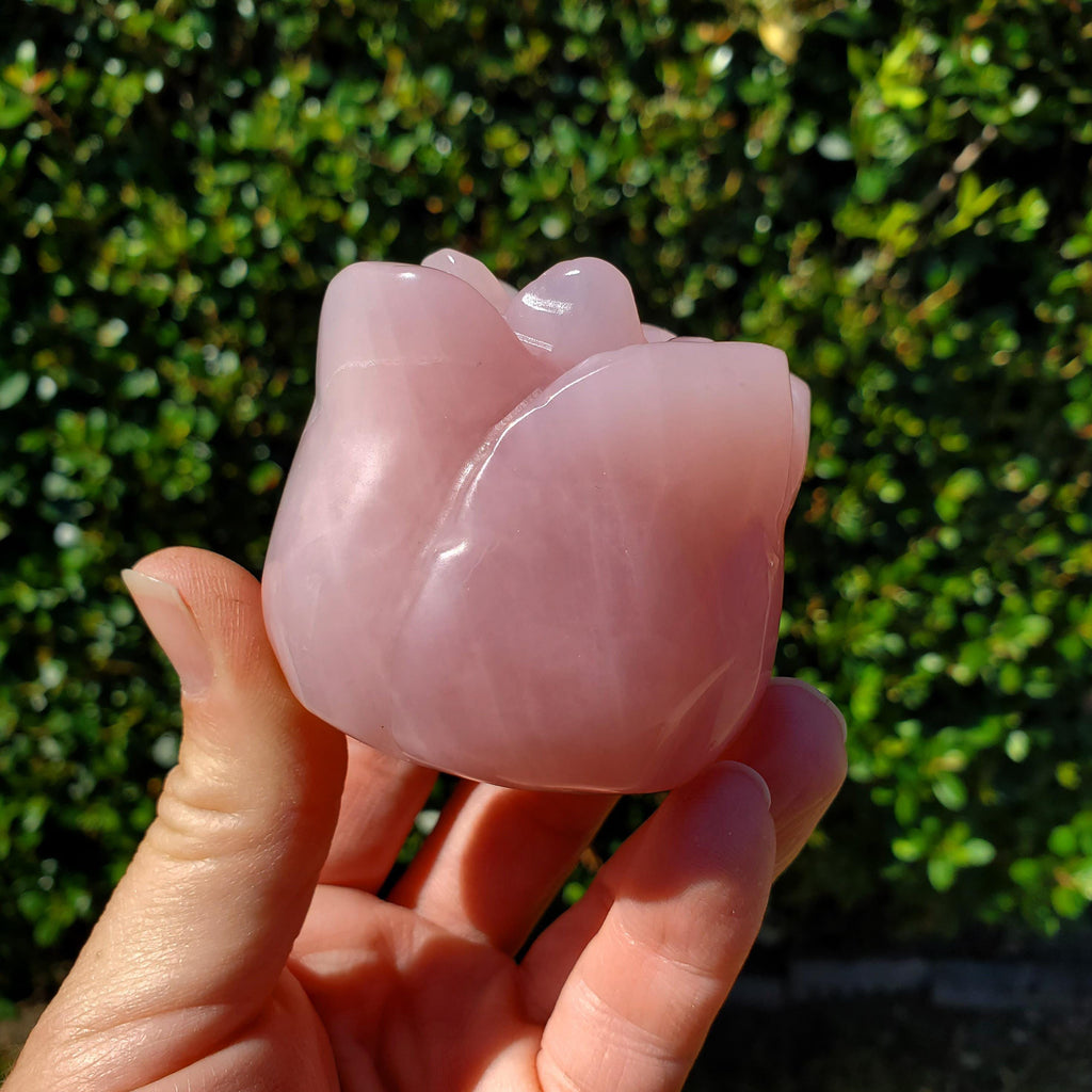 Chunky Standing Rose Quartz Flower Bud - Unconditional Love, Compassion, Self Love - Pink Crystal Rose Stone Healing Crystals Gemstone
