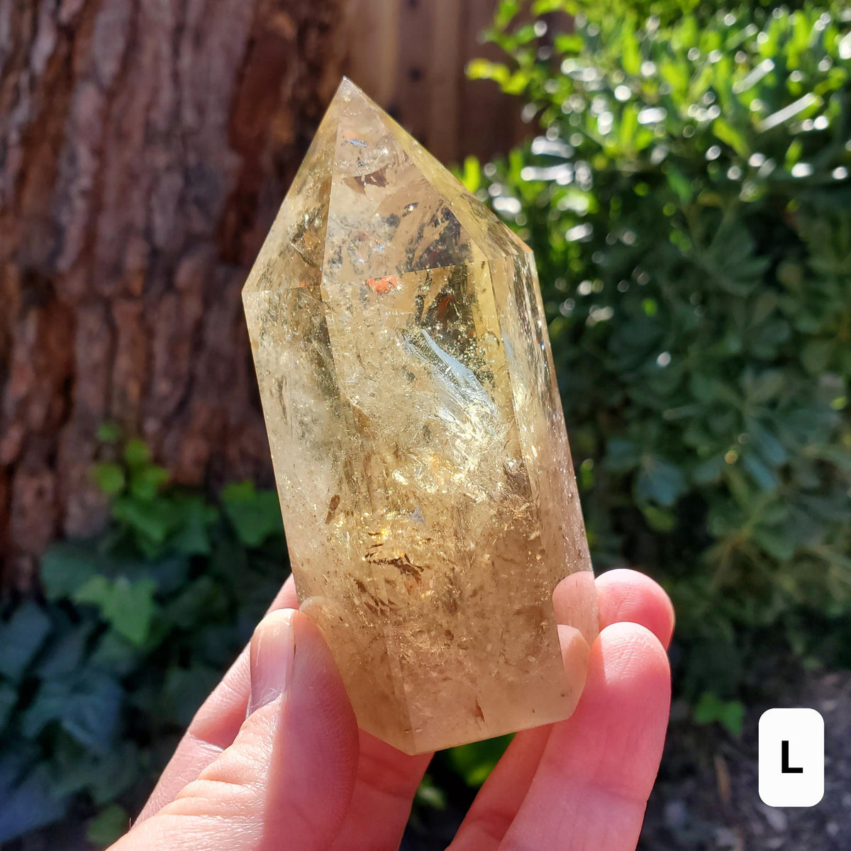 Chunky Citrine Tower with Rainbows - Abundance, Energizing, Creativity, New Beginnings - Golden Quartz Crystal Point Gemstone