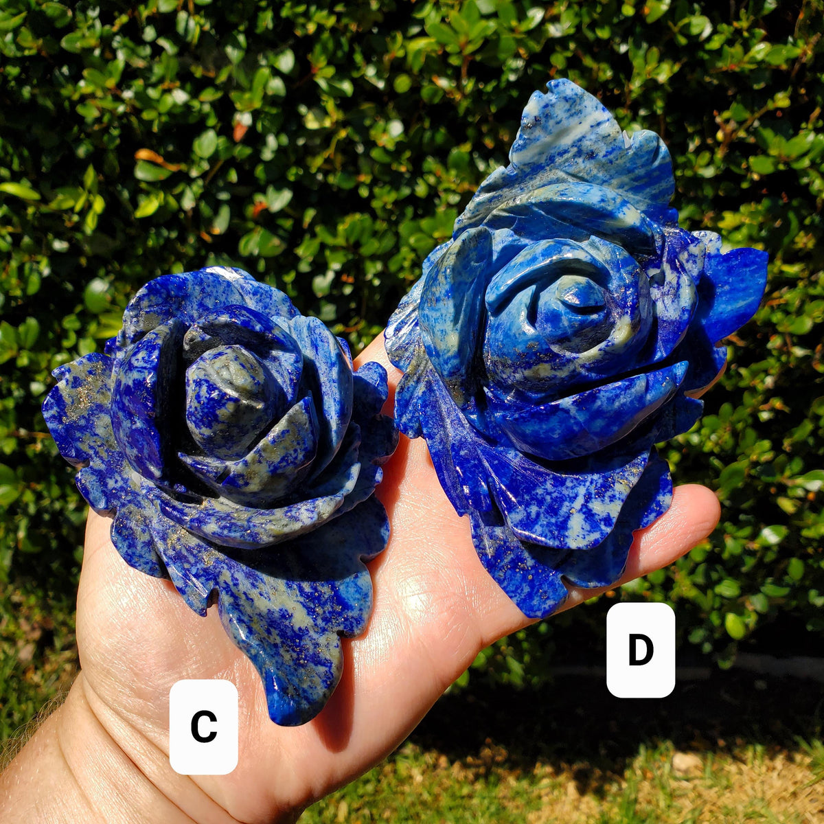 Big Lapis Lazuli Rose - Speak Your Truth, Communication, Personal Power - Blue Crystal Flower Stone Healing Gemstone Statement