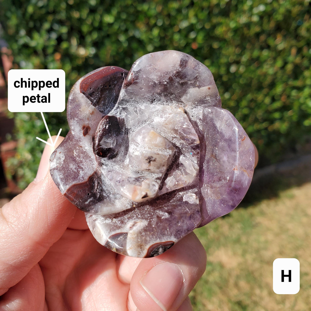 Dream Amethyst Rose Bud Bloom - Calming, Protection, Positivity - Standing Purple Flower Crystal Healing Gemstone