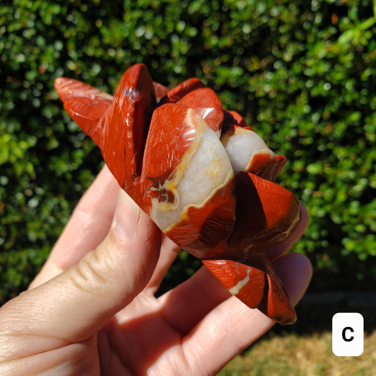 Red Jasper Rose on Gold Stand - Cellular Healing, Creativity, Reflection, Patience - Red Rose Crystal Stone Healing Gemstone Statement