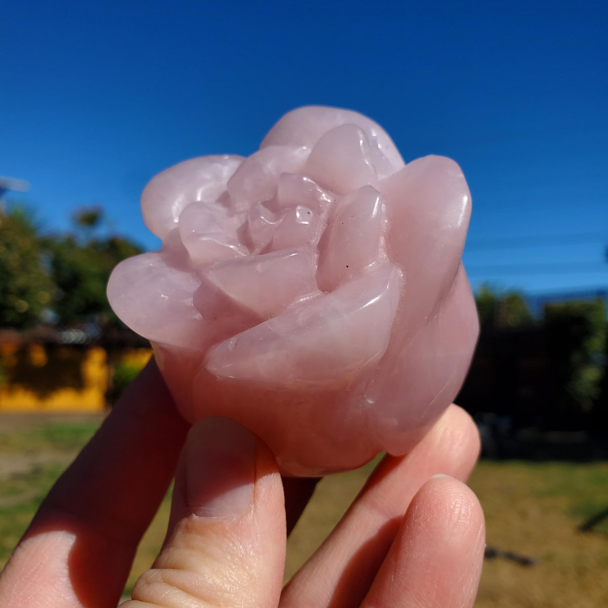 Chunky Standing Rose Quartz Flower Bud - Unconditional Love, Compassion, Self Love - Pink Crystal Rose Stone Healing Crystals Gemstone
