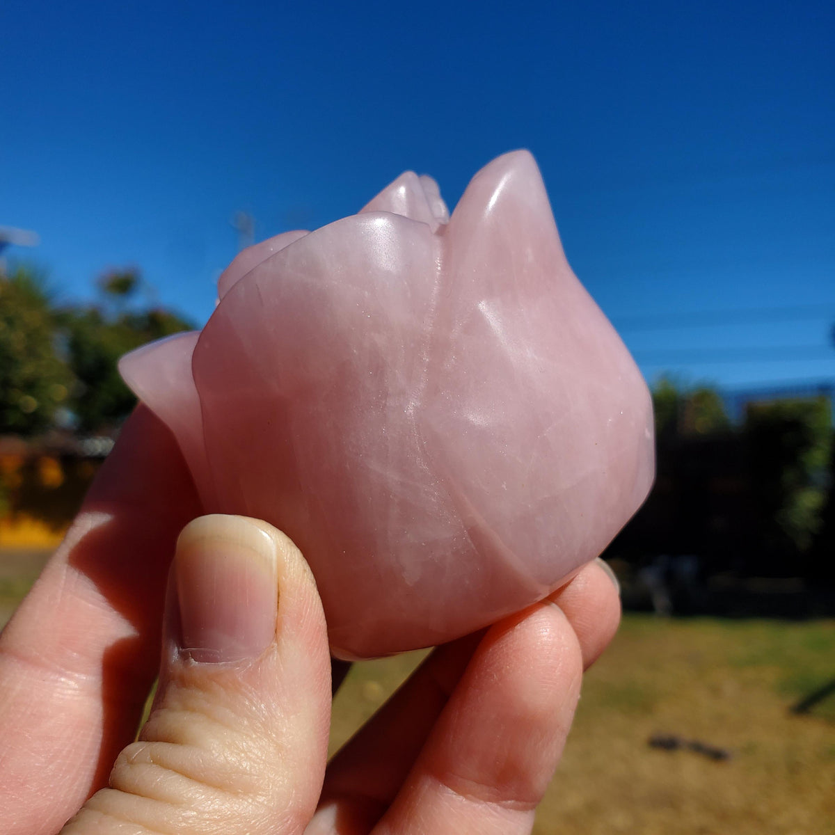 Chunky Standing Rose Quartz Flower Bud - Unconditional Love, Compassion, Self Love - Pink Crystal Rose Stone Healing Crystals Gemstone