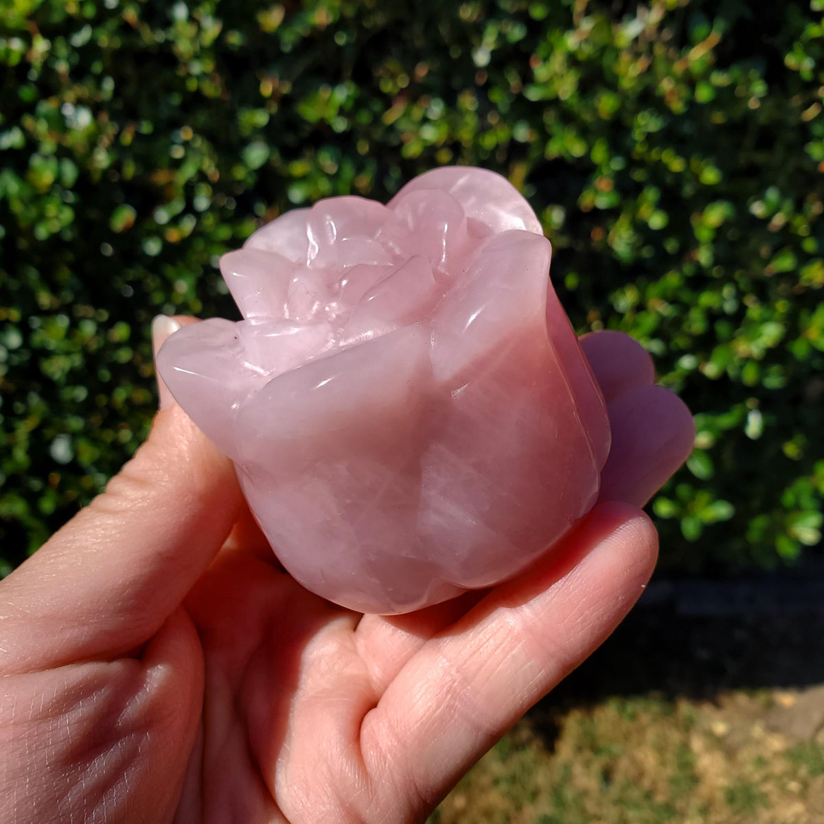 Chunky Standing Rose Quartz Flower Bud - Unconditional Love, Compassion, Self Love - Pink Crystal Rose Stone Healing Crystals Gemstone
