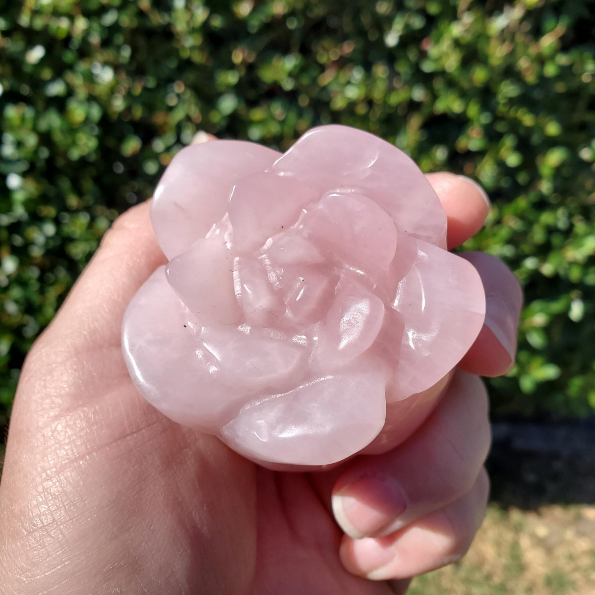 Chunky Standing Rose Quartz Flower Bud - Unconditional Love, Compassion, Self Love - Pink Crystal Rose Stone Healing Crystals Gemstone