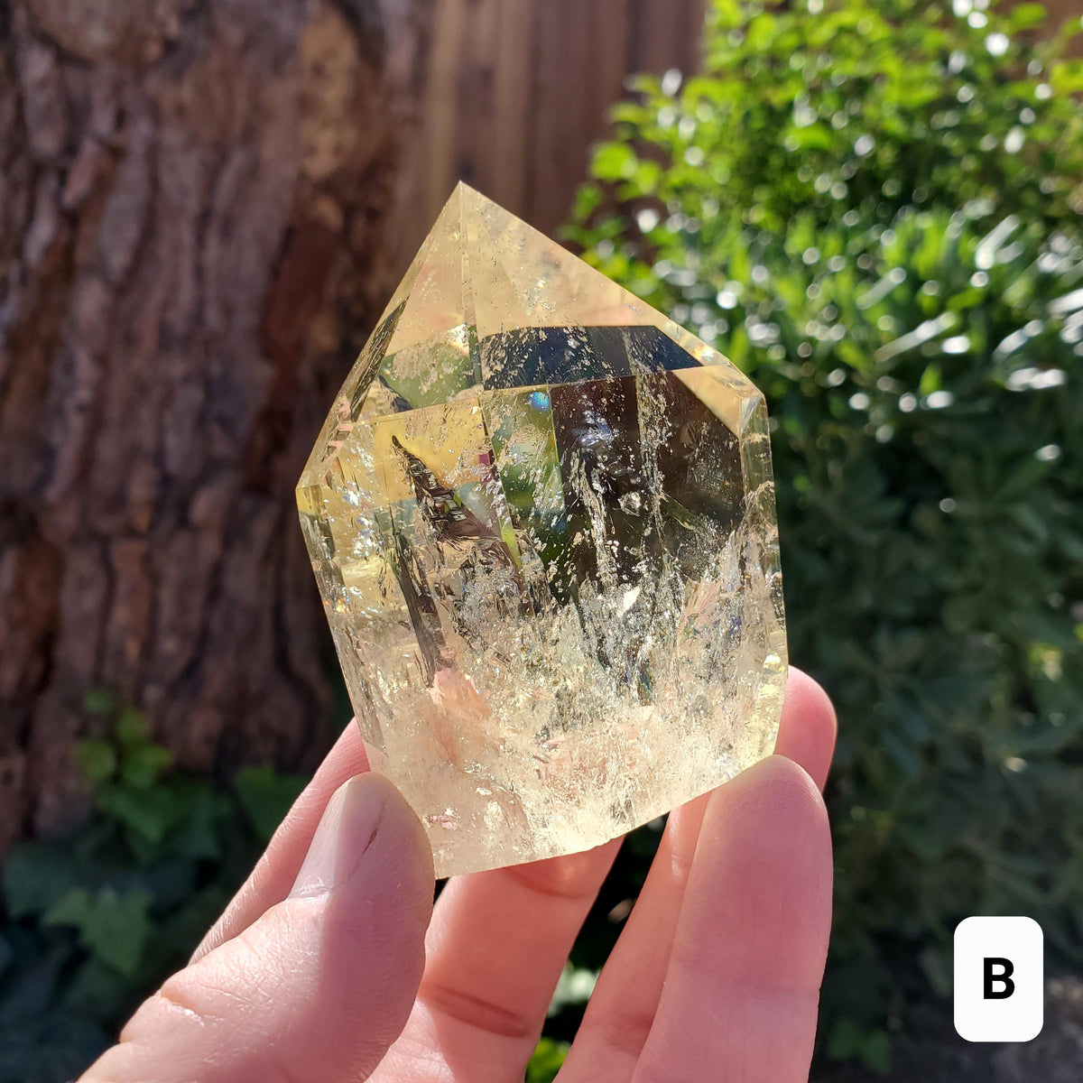 Chunky Citrine Tower with Rainbows - Abundance, Energizing, Creativity, New Beginnings - Golden Quartz Crystal Point Gemstone