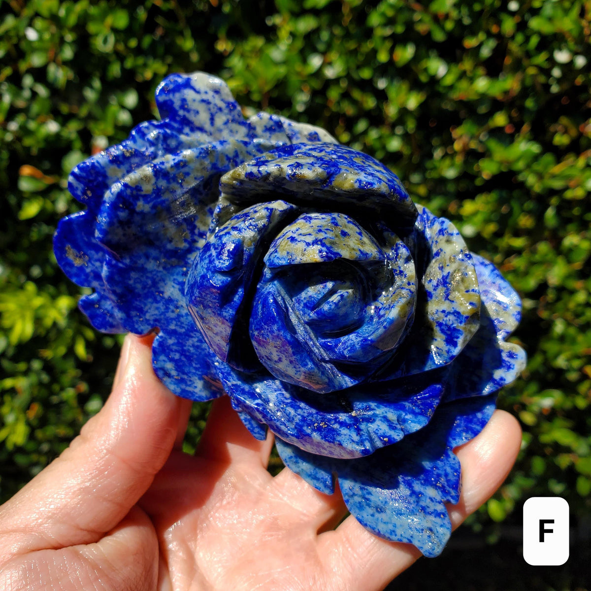 Big Lapis Lazuli Rose - Speak Your Truth, Communication, Personal Power - Blue Crystal Flower Stone Healing Gemstone Statement