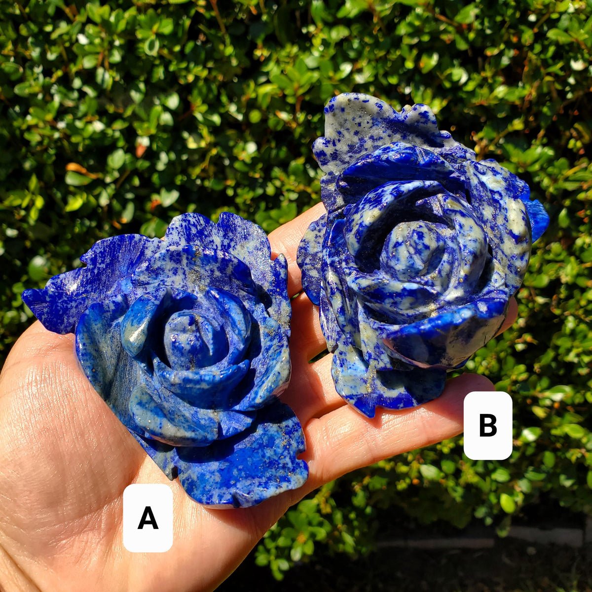 Big Lapis Lazuli Rose - Speak Your Truth, Communication, Personal Power - Blue Crystal Flower Stone Healing Gemstone Statement