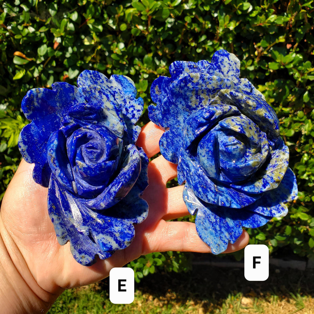 Big Lapis Lazuli Rose - Speak Your Truth, Communication, Personal Power - Blue Crystal Flower Stone Healing Gemstone Statement