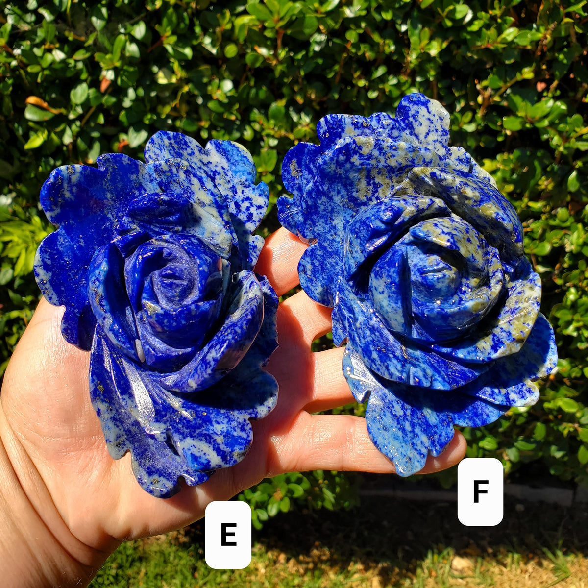 Big Lapis Lazuli Rose - Speak Your Truth, Communication, Personal Power - Blue Crystal Flower Stone Healing Gemstone Statement