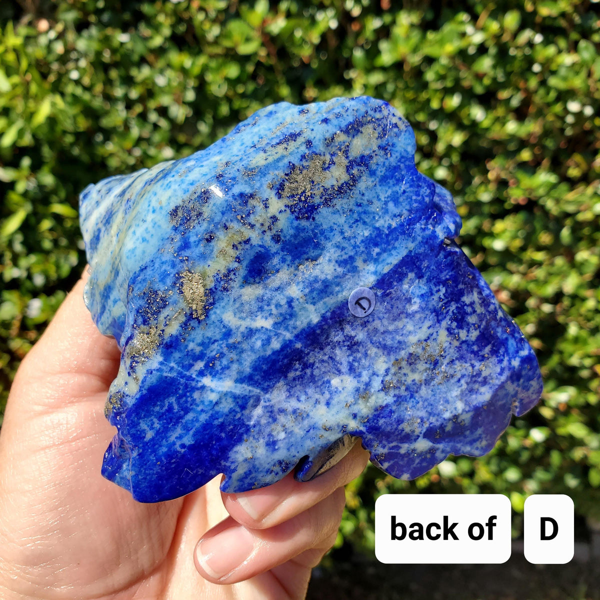 Big Lapis Lazuli Rose - Speak Your Truth, Communication, Personal Power - Blue Crystal Flower Stone Healing Gemstone Statement
