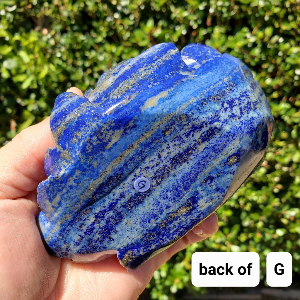 Big Lapis Lazuli Rose - Speak Your Truth, Communication, Personal Power - Blue Crystal Flower Stone Healing Gemstone Statement