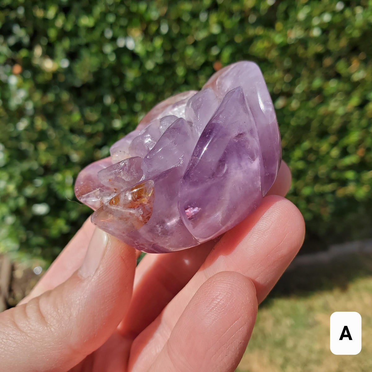 Dream Amethyst Rose Bud Bloom - Calming, Protection, Positivity - Standing Purple Flower Crystal Healing Gemstone