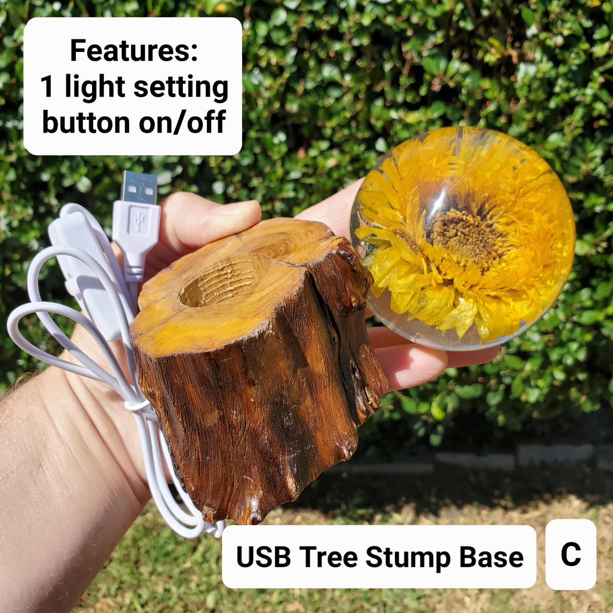 Sunflower Accent Light with Wooden Stand | Handmade Resin Craft with Real Sunflower Inside - Home Décor Night Light, Accent Lamp, Mood Light