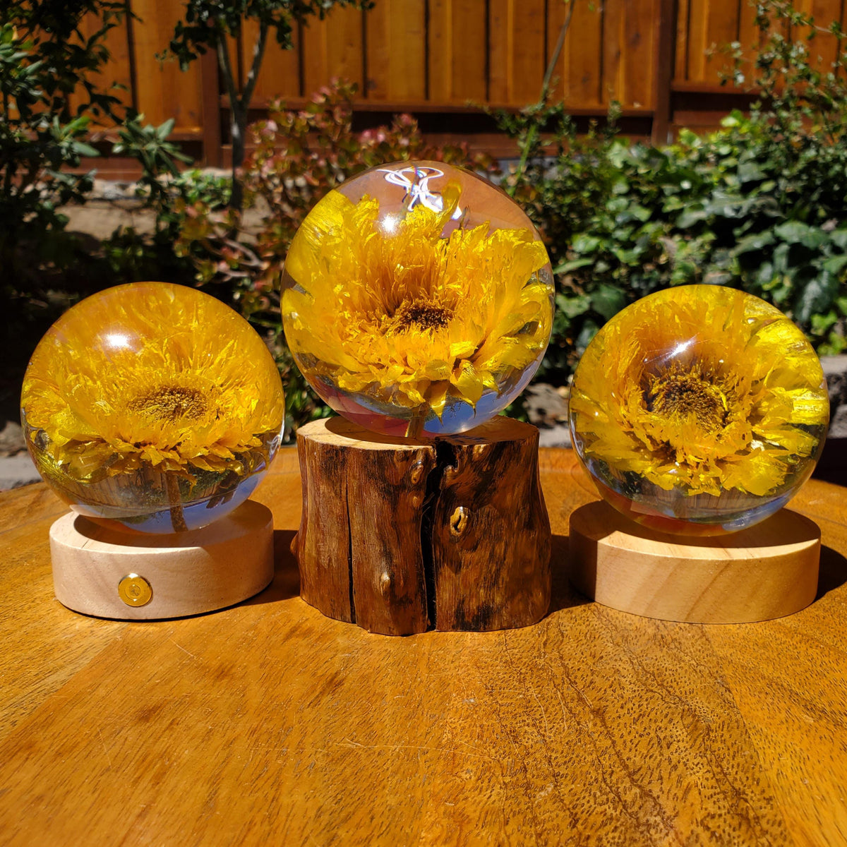 Sunflower Accent Light with Wooden Stand | Handmade Resin Craft with Real Sunflower Inside - Home Décor Night Light, Accent Lamp, Mood Light