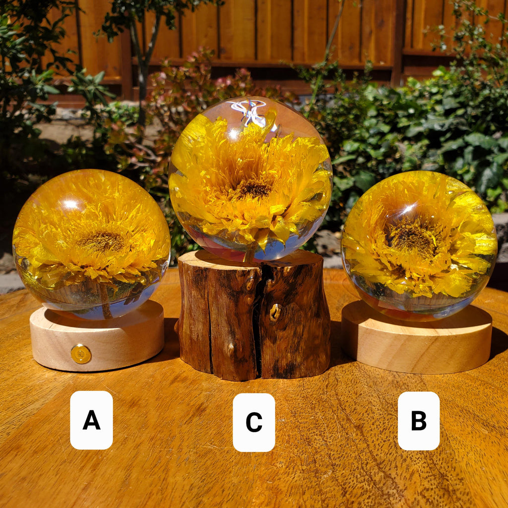 Sunflower Accent Light with Wooden Stand | Handmade Resin Craft with Real Sunflower Inside - Home Décor Night Light, Accent Lamp, Mood Light