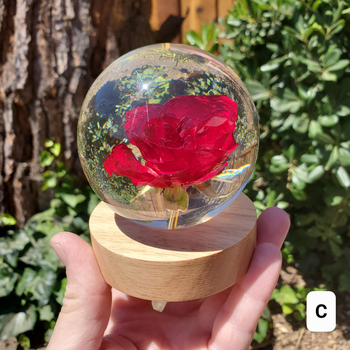 Rose Accent Light with Wooden Stand | Handmade Resin Craft with Real Rose Inside - Home Décor Night Light Beautiful Flower Gift Mood Lamp