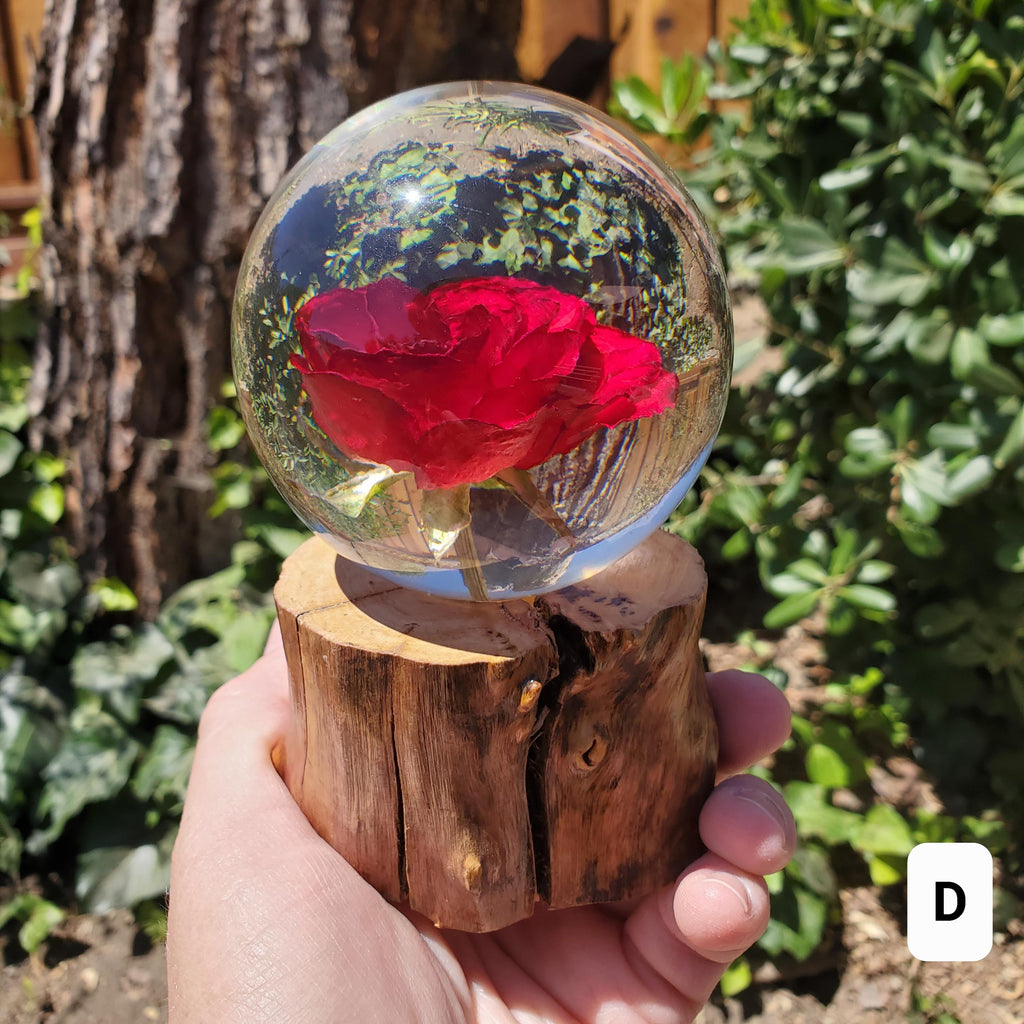 Rose Accent Light with Wooden Stand | Handmade Resin Craft with Real Rose Inside - Home Décor Night Light Beautiful Flower Gift Mood Lamp