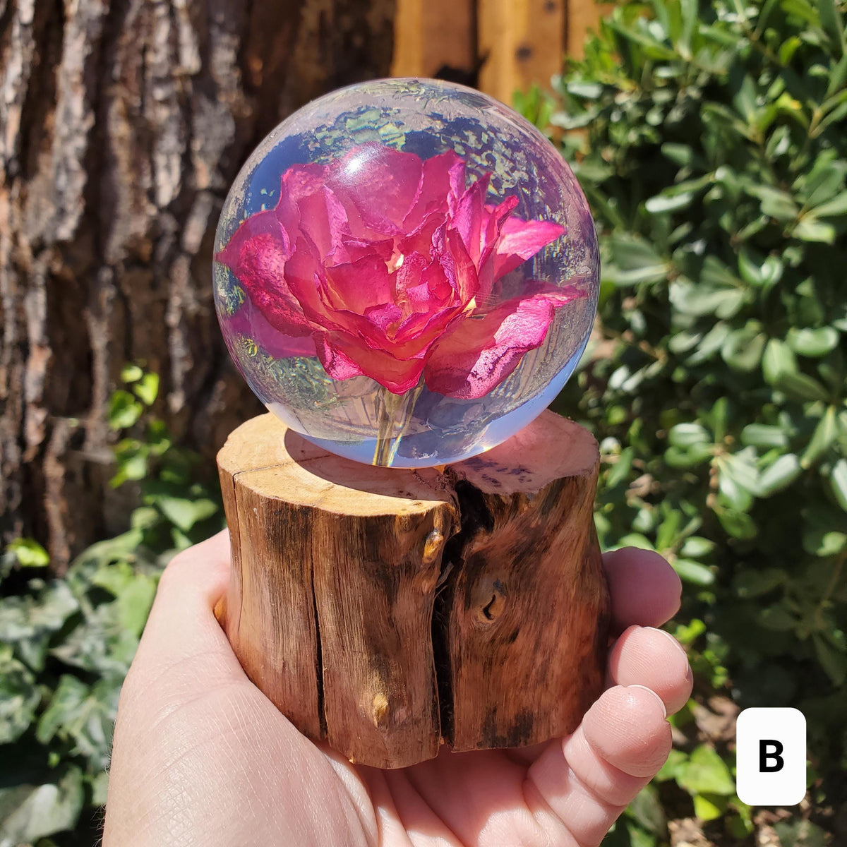 Rose Accent Light with Wooden Stand | Handmade Resin Craft with Real Rose Inside - Home Décor Night Light Beautiful Flower Gift Mood Lamp