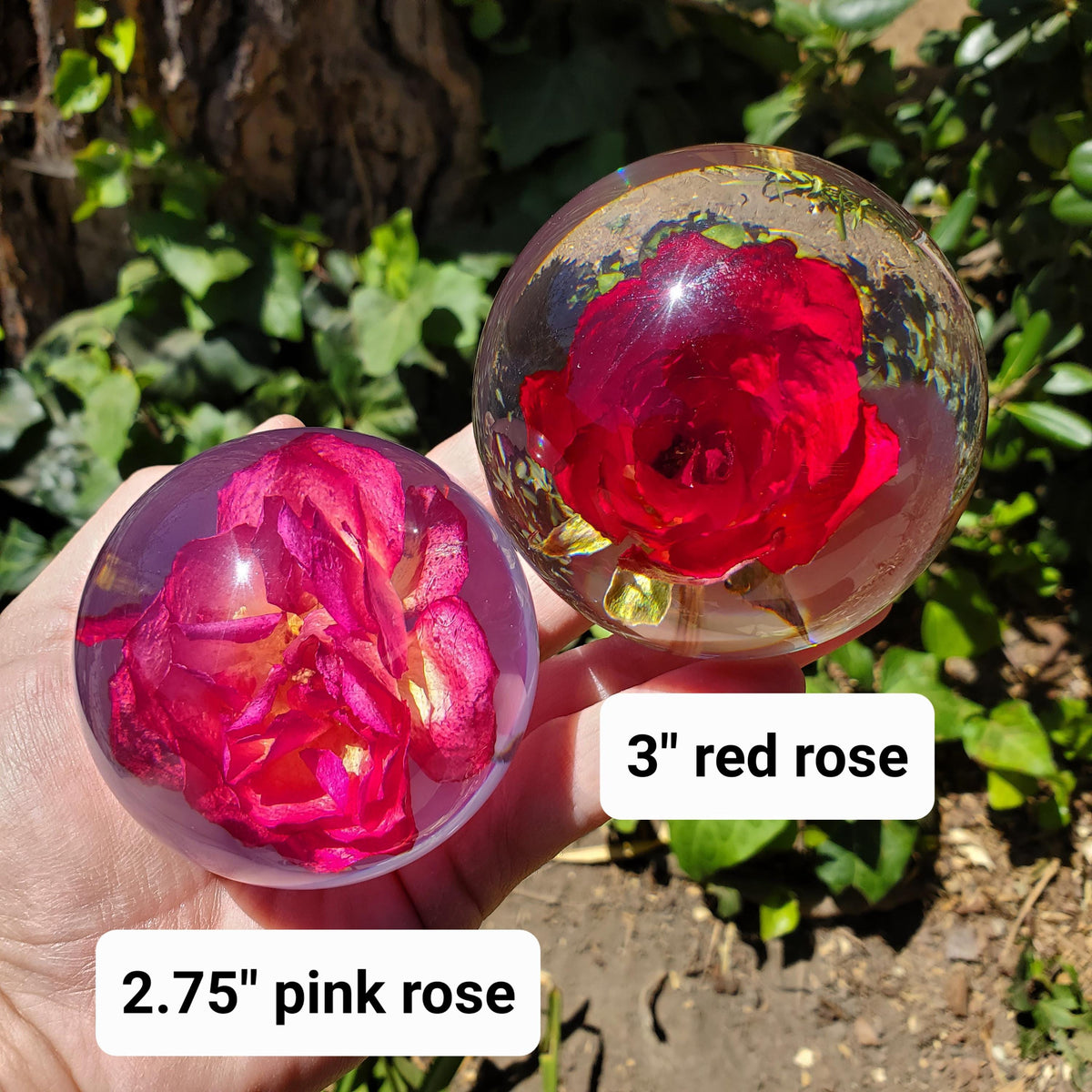 Rose Accent Light with Wooden Stand | Handmade Resin Craft with Real Rose Inside - Home Décor Night Light Beautiful Flower Gift Mood Lamp