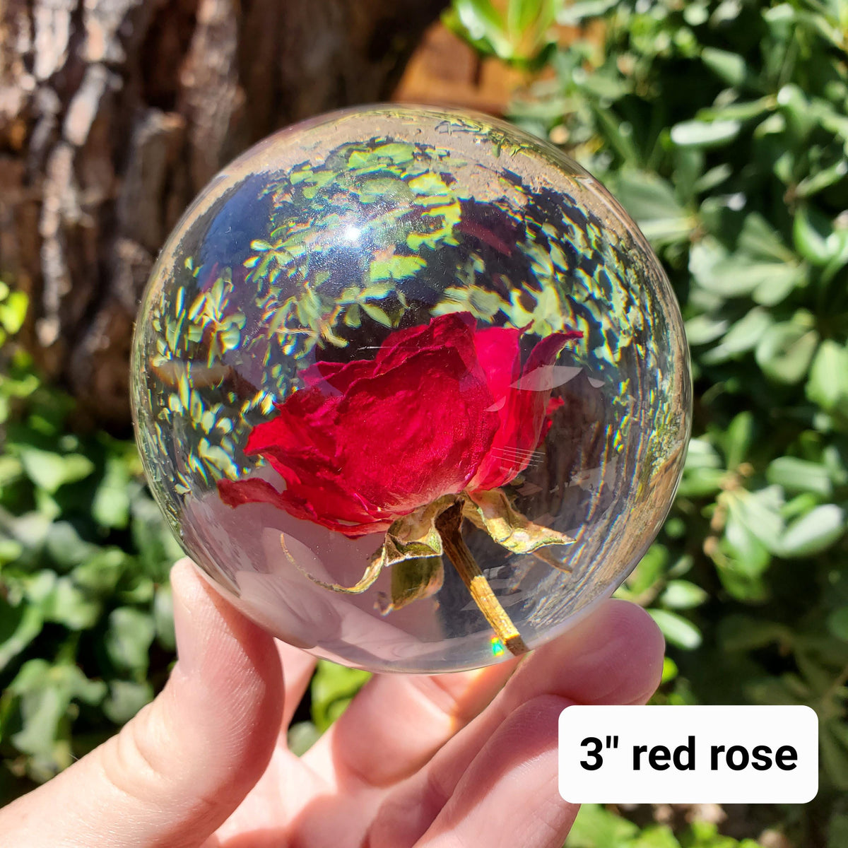 Rose Accent Light with Wooden Stand | Handmade Resin Craft with Real Rose Inside - Home Décor Night Light Beautiful Flower Gift Mood Lamp
