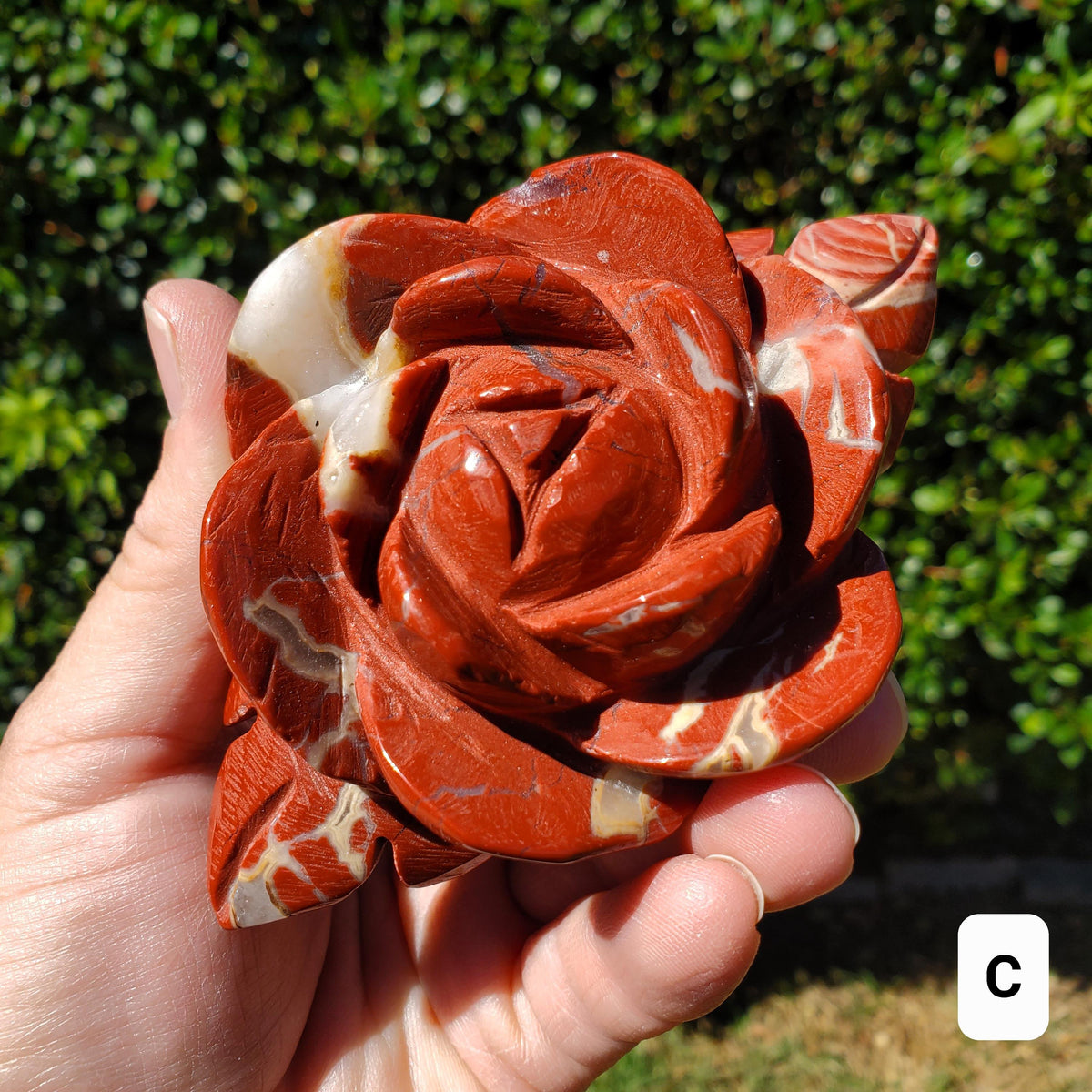 Red Jasper Rose on Gold Stand - Cellular Healing, Creativity, Reflection, Patience - Red Rose Crystal Stone Healing Gemstone Statement